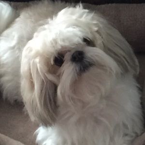 Meet your Posher, Patty